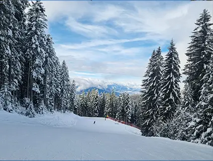 Zampese Viaggi a Folgaria servizi offerte inverno
